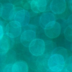 Bokeh-438